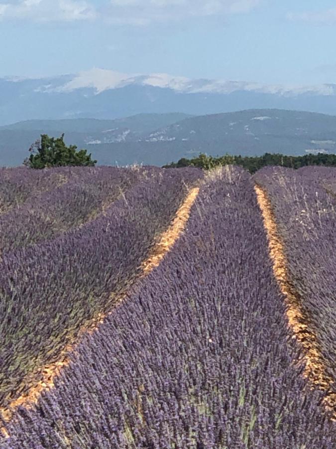 Provence Luberon Bonnieux Location Gite Chez Marcelle Exterior foto